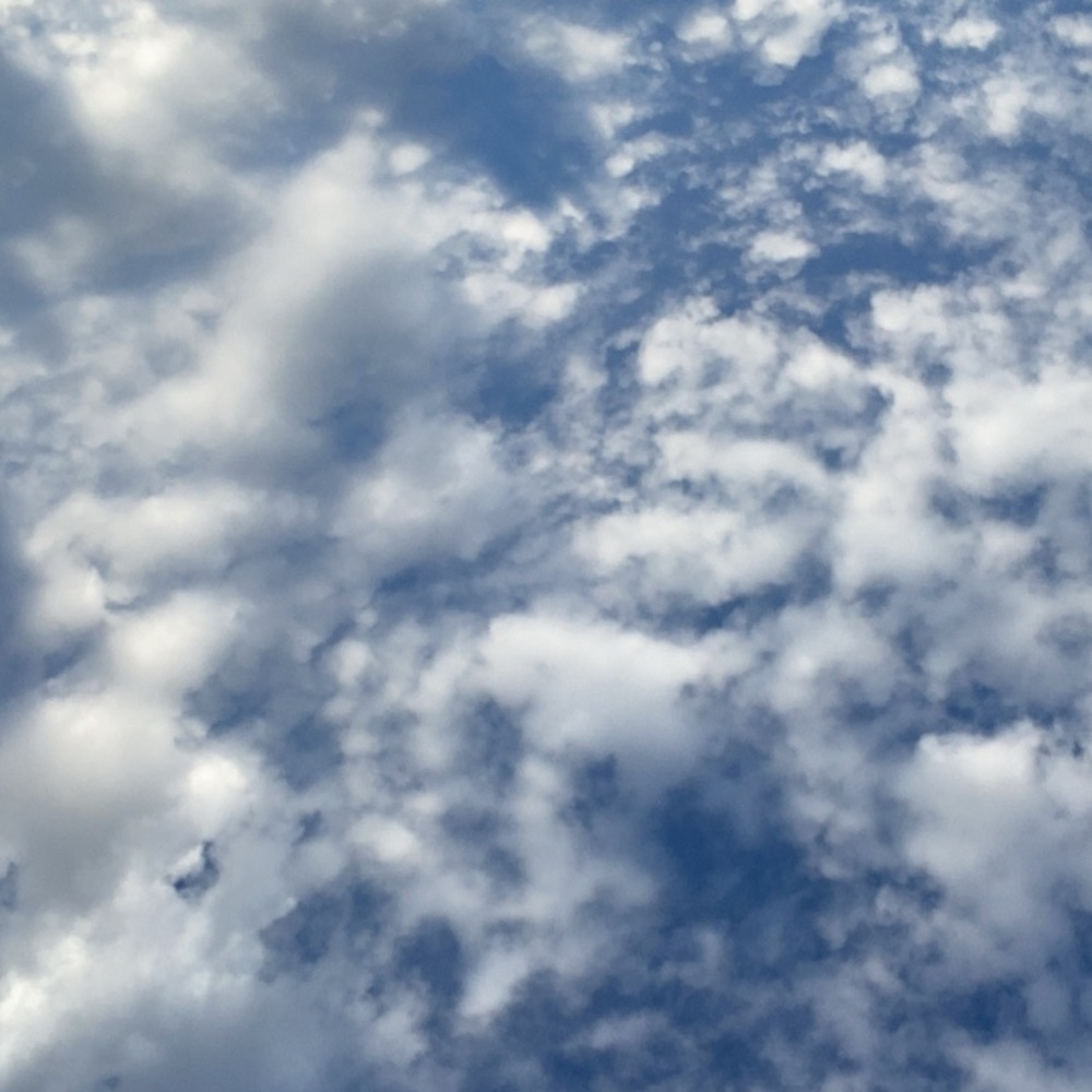 Meet your Posher, Kristine